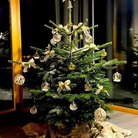 Mountain Katzenkopf Apartment