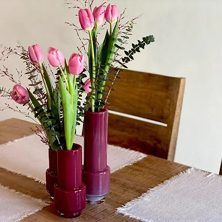 Apartment Mountain Katzenkopf