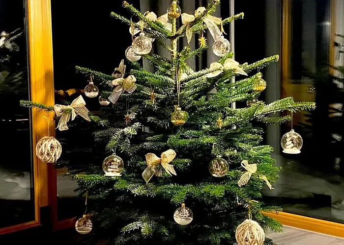 Mountain Katzenkopf Appartement