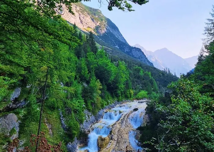 Mountain Katzenkopf *