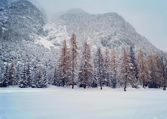 Mountain Katzenkopf Appartement