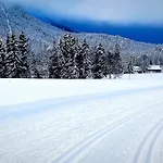 Mountain Katzenkopf