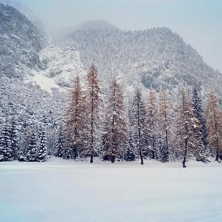 Mountain Katzenkopf Διαμέρισμα