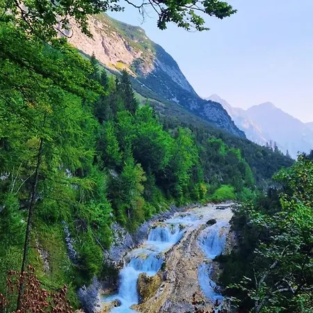 Mountain Katzenkopf *
